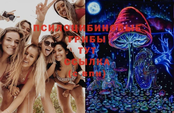герыч Гусь-Хрустальный