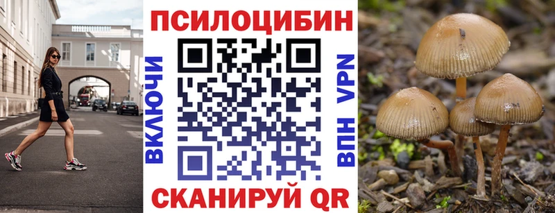 Галлюциногенные грибы Cubensis  даркнет телеграм  Петровск-Забайкальский  ОМГ ОМГ вход 